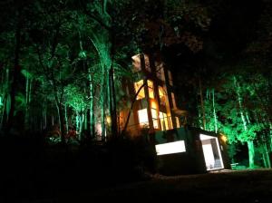 un edificio con luces verdes en un bosque por la noche en Casa Maikäfer en Rodeio