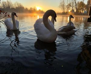 Gallery image of Breezes Park in Acton +13 photos