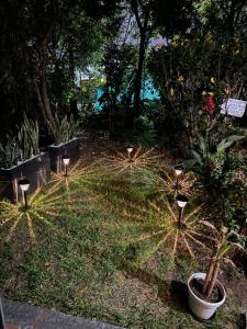 Habitación cerca aeropuerto el Dorado في بوغوتا: حديقة فيها بعض الاضاءات على العشب
