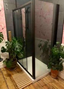 a shower in a room with two potted plants at Townhouse near city centre in Dublin