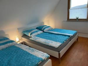 two twin beds in a room with a window at Ferienhaus Lichtenberg 15 in Herleshausen