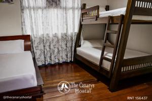 Rúm í herbergi á The Canarys Hostal