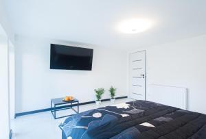 a bedroom with a bed and a flat screen tv at Mielno Apartament in Unieście