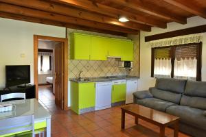 Apartamentos Aires De Avin - Onis في أفين: مطبخ وغرفة معيشة مع دواليب خضراء وأريكة