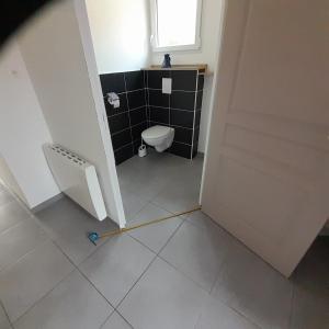 ein Bad mit einem WC und einem Mopp auf dem Boden in der Unterkunft GITE de la GAUMERAIS in Chèvreville