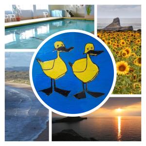 a collage of photos with a picture of a yellow duck at Two Little Ducks Holiday Chalet in Knelston