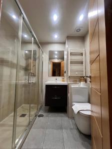 e bagno con doccia, servizi igienici e lavandino. di El Botones - Arenal a Madrid