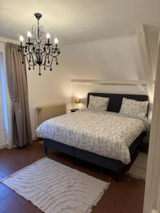 a bedroom with a bed and a chandelier at Vakantiehuis Bourgondie in Saint-Honoré-les-Bains