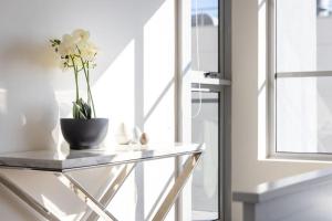 Mynd úr myndasafni af A Spacious 2BR Apt with an Amazing View Over Darling Harbour í Sydney