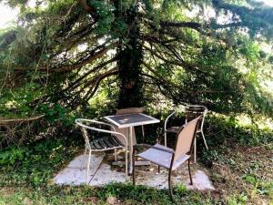 twee stoelen en een tafel onder een boom bij Océan · Gite rural - Herbignac, La Roche-Bernard in Herbignac