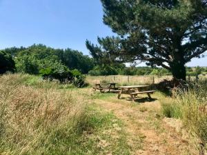 twee picknickbanken in een veld met een boom bij Océan · Gite rural - Herbignac, La Roche-Bernard in Herbignac