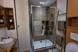 a bathroom with a shower with a sink and a toilet at Studio moderne St Germain les Corbeil - jacuzzi privatif in Saint-Germain-lès-Corbeil +8 photos