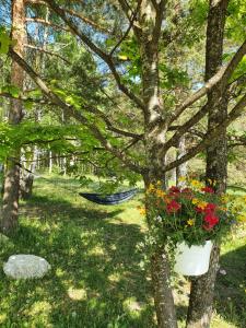 a hammock in a yard with flowers in a tree at Bungalov Zahej Divčibare in Divčibare