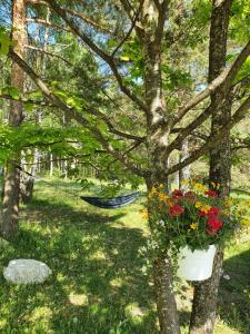 uma rede em um quintal com flores em uma árvore em Bungalov Zahej Divčibare em Divčibare