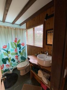 a bathroom with a sink and a toilet at Espíritus del Cañi. Tiny home y destilería in Pucón