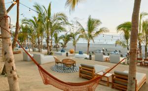 巴亞爾塔港的住宿－Luxury Beachfront Suites With Private Pool，棕榈树和海洋海滩上的吊床