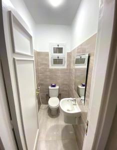 La petite salle de bains est pourvue de toilettes et d'un lavabo. dans l'établissement Aloha Maadi, au Caire