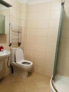a bathroom with a toilet and a sink at Nad Grajcarkiem - Pensjonat in Szczawnica