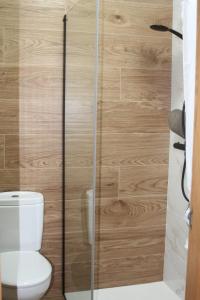 ein Bad mit einem WC und einer Holzwand in der Unterkunft A casa de Dora da Estrada in A Estrada