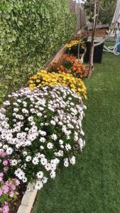 Zahrada ubytování Escapada de ciudad al aire libre