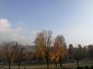 Un groupe d'arbres dans un parc à l'automne dans l'établissement La Ludocanda, à Turin