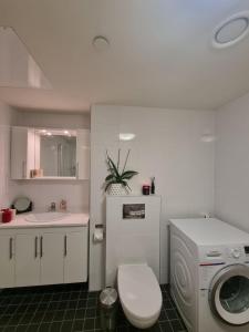 y baño con aseo, lavabo y lavadora. en Central Apartment Ålesund, en Ålesund