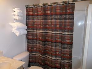 a bathroom with a shower curtain and a toilet at Douglas Inn & Suites, Blue Ridge, GA in Blue Ridge +41 photos