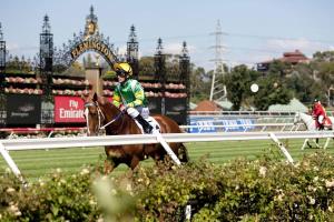 a person riding a horse jumping over a hurdle at A 3BR Apt Next to Melbourne Zoo FREE Parking in Melbourne