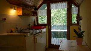 een keuken met een wastafel en een groot raam bij Zöldellő Apartmanház in Siófok