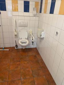 a bathroom with a toilet and a urinal and a toilet at Pieterwagen in Sleen