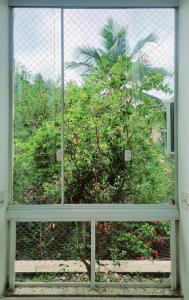 einen Blick auf einen Baum durch ein Fenster mit einem Zaun in der Unterkunft Pousada MarÍsis Barra da Tijuca in Rio de Janeiro