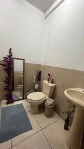 a bathroom with a toilet and a sink at Amplio y moderno apartamento de 1 habitación in Tegucigalpa