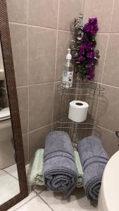 a bathroom with a shower with towels on a rack at Amplio y moderno apartamento de 1 habitación in Tegucigalpa