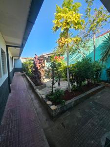 a brick walkway with trees and plants in front of a building at Casa 25 hostal in Santa Ana