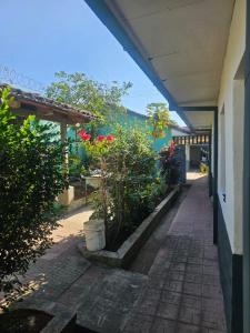 una pasarela en un edificio con flores y plantas en Casa 25 hostal, en Santa Ana