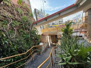 una pasarela en un edificio con plantas en Hospedaje San Blas en Lima