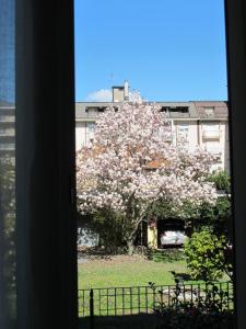Fotografia z galérie ubytovania Domus Mea v destinácii Domodossola