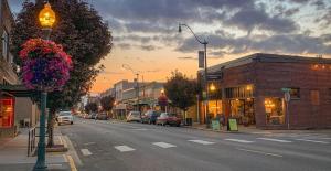 a city street with a street light and cars parked at Cozy Sumner Home, Shops & Dining Nearby in Sumner