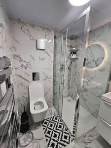 uma casa de banho com um chuveiro e um WC. em Comfortable Two Bedroom Flat em Brighton & Hove
