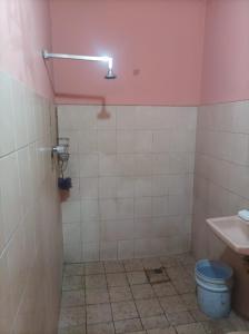 マナグアにあるHospedaje Marlenisのピンクの天井のバスルーム(トイレ付)