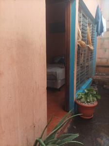 une chambre avec une plante dans un pot et un lit dans l'établissement Hospedaje Marlenis, à Managua
