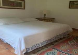 1 cama blanca en un dormitorio con alfombra en Casa Shambhala Malinalco en Malinalco