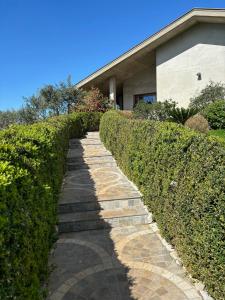 a stone path in front of a house at Apartment Camellie in Galižana