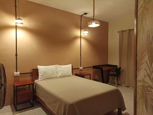 Bijao Hostel في تارابوتو: غرفة نوم بسرير وطاولة ومكتب
