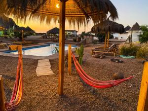 a resort with a hammock and a swimming pool at Cabañas Caleta Hueso in Taltal