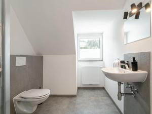 a white bathroom with a toilet and a sink at NRV Top 5 in Möderbrugg