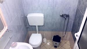 a small bathroom with a toilet and a shower at The Grandfather's Room in Himare