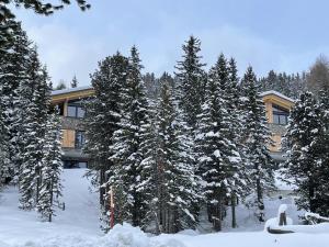 Vista Lodge during the winter