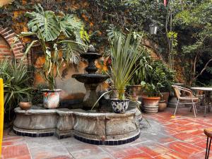 Zahrada ubytování Casa Tlaquepaque