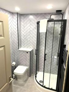 a bathroom with a shower and a toilet at Grassmarket Apartment in Edinburgh